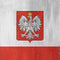 Poland Flag Distressed Galaxy A20 Clear Case